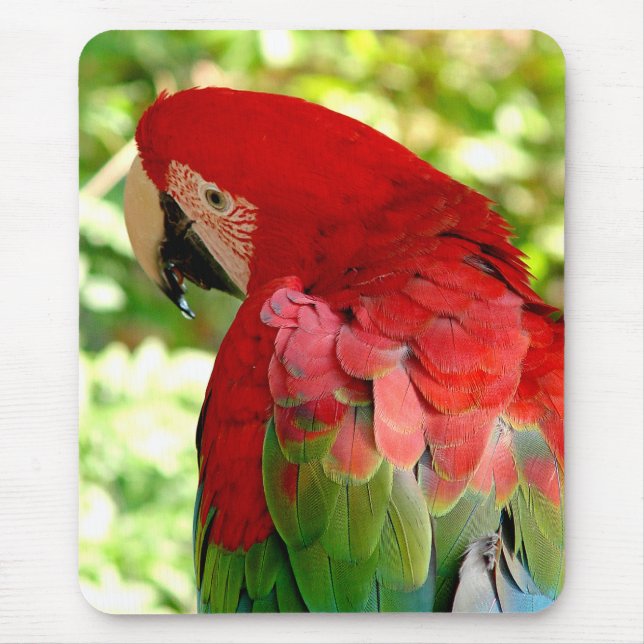 Alfombrilla De Ratón Macaw rojo Mousepad 2 (Frente)