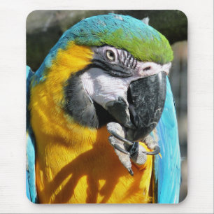 ALFOMBRILLA DE RATÓN MACAWS