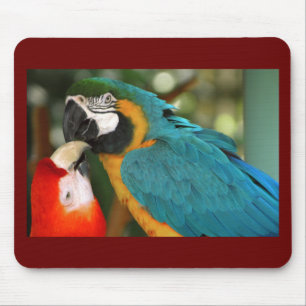Alfombrilla De Ratón Macaws