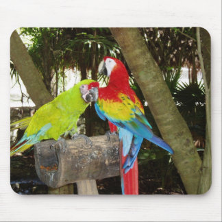 Alfombrilla De Ratón Macaws Mousepad
