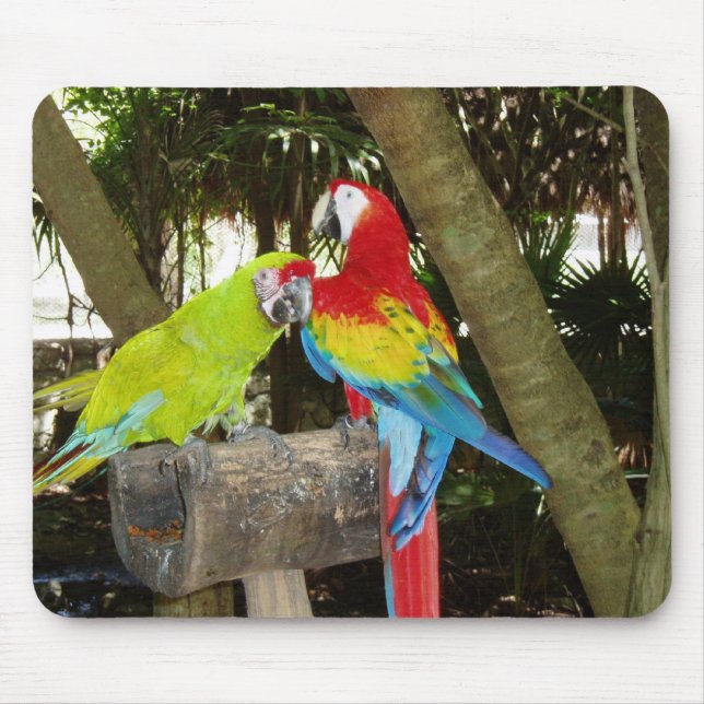 Alfombrilla De Ratón Macaws Mousepad (Frente)