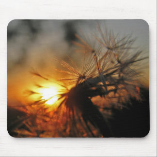 Alfombrilla De Ratón Macro Dandelion Sunset Mousepad