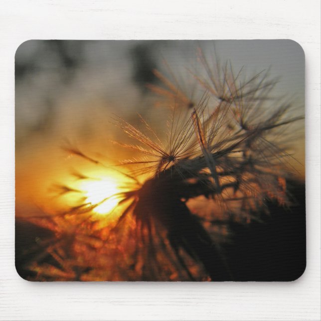 Alfombrilla De Ratón Macro Dandelion Sunset Mousepad (Frente)