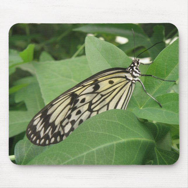 Alfombrilla De Ratón Macro Mousepad con mariposa de cometa de papel (Frente)