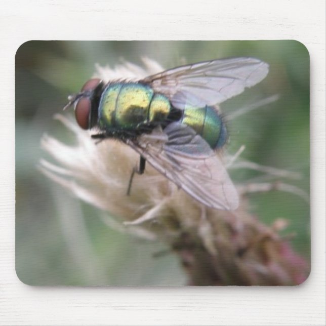 Alfombrilla De Ratón Macro Mousepad de frasco verde (Frente)