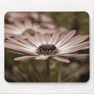 Alfombrilla De Ratón macro Rosa Daisy