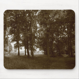 Alfombrilla De Ratón Madera, Bute Park Cardiff - Sepia tonificante BW