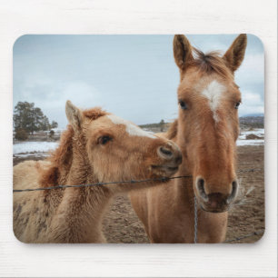 Alfombrilla De Ratón Madre de caballo y de pie