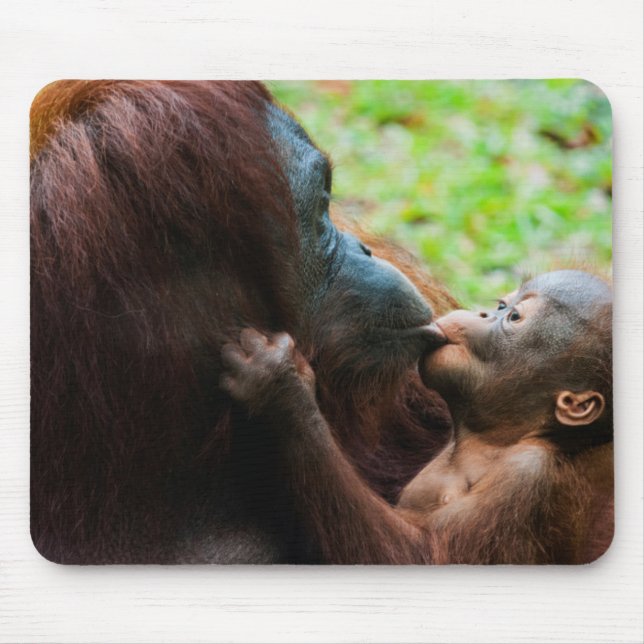 Alfombrilla De Ratón Madre de orangután y bebé (Frente)