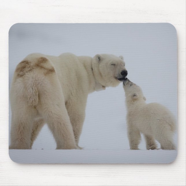 Alfombrilla De Ratón Madre del oso polar con Cub (Frente)
