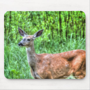 Alfombrilla De Ratón Madre hembra Mule Deer en Ranch Wildlife Photo