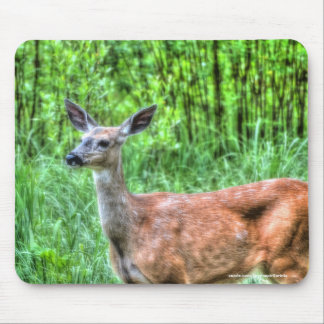 Alfombrilla De Ratón Madre hembra Mule Deer en Ranch Wildlife Photo