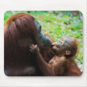 Alfombrilla De Ratón Madre orangután con cría