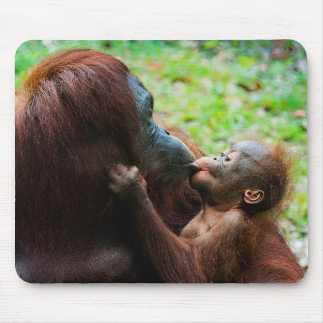 Alfombrilla De Ratón Madre orangután con cría (Frente)