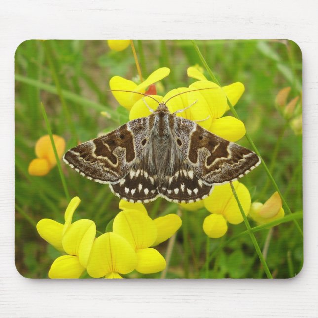 Alfombrilla De Ratón Madre Shipton Moth Mouse Mat (Frente)
