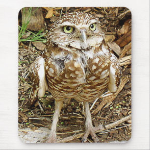 Alfombrilla De Ratón Madriguera del búho Mousepad