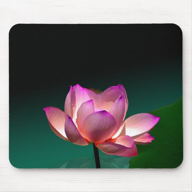 Alfombrilla De Ratón Magenta Lotus en flor, mousepad (Frente)