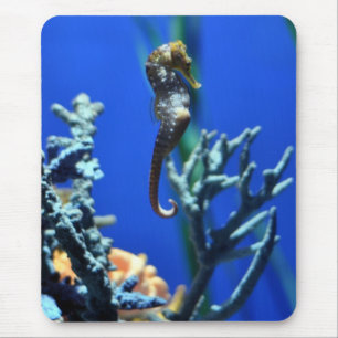 Alfombrilla De Ratón Magia del Seahorse