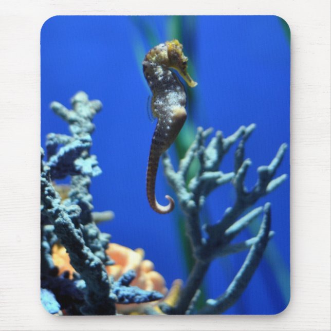 Alfombrilla De Ratón Magia del Seahorse (Frente)