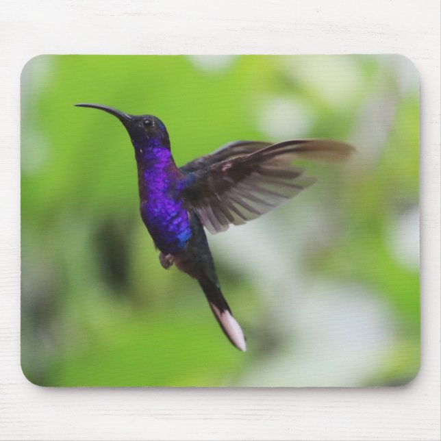 Alfombrilla De Ratón Magnífica almohadilla del ratón Hummingbird (Frente)