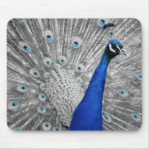 Alfombrilla De Ratón Magnífica almohadilla para el pavo real