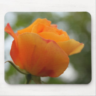Alfombrilla De Ratón Magnífica fotografía de flores de rosa amarillo.