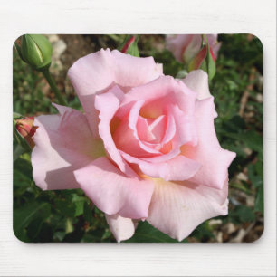 Alfombrilla De Ratón Magnífica ratonera rosa rosa Bella Artes