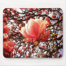 Alfombrilla De Ratón Magnolia