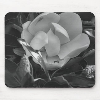 Alfombrilla De Ratón Magnolia Atemporal