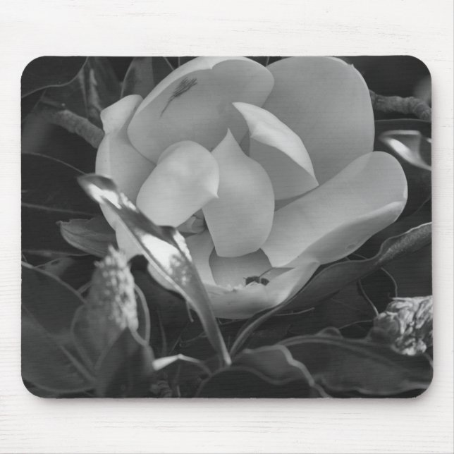 Alfombrilla De Ratón Magnolia Atemporal (Frente)