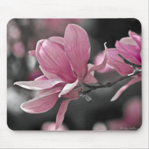 Alfombrilla De Ratón Magnolia de Saucer Rosa Japonesa