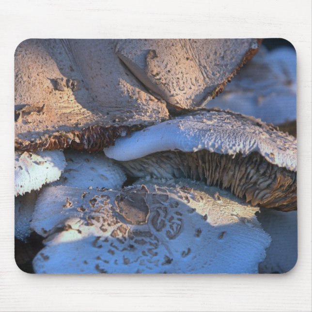 Alfombrilla De Ratón Magnolia eterna (Frente)