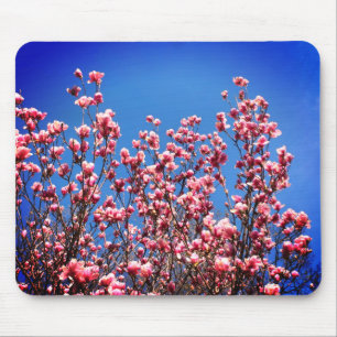 Alfombrilla De Ratón Magnolia Flor azul cielo