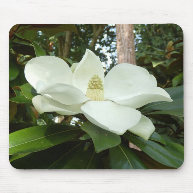 Alfombrilla De Ratón Magnolia Grandiflora Mouse Mat (Frente)