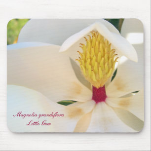 Alfombrilla De Ratón Magnolia grandiflora 'poco Gem