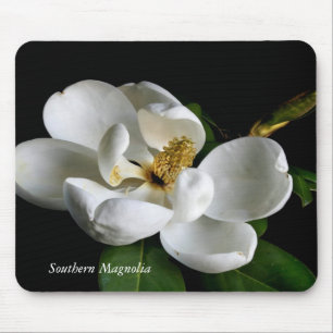 Alfombrilla De Ratón Magnolia meridional