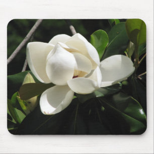Alfombrilla De Ratón Magnolia meridional