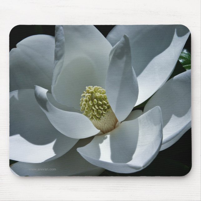 Alfombrilla De Ratón Magnolia Mousepad (Frente)
