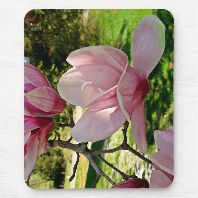 Alfombrilla De Ratón Magnolia Rosa Sunlit Monograma Floral Pad de ratón (Frente)