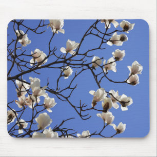 Alfombrilla De Ratón Magnolias florecientes