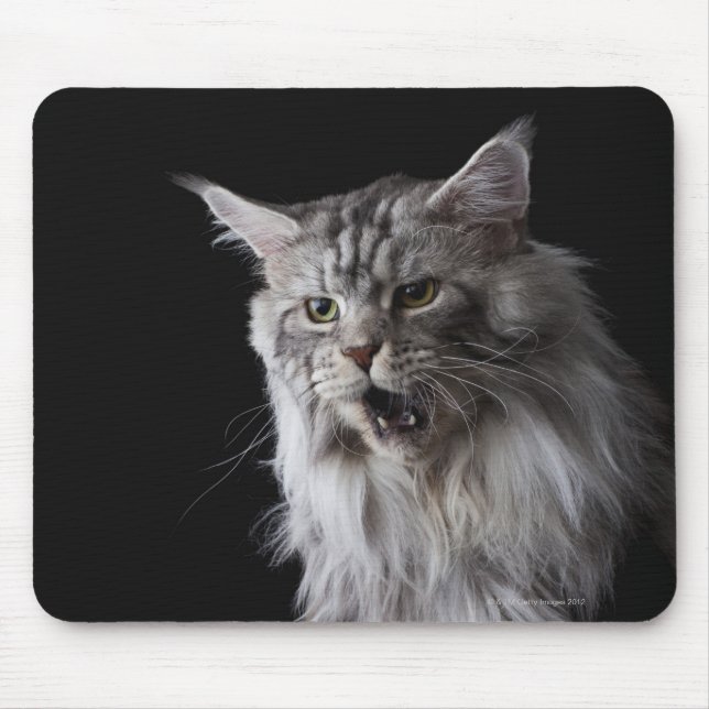 Alfombrilla De Ratón Maine Coon cat 2 (Frente)