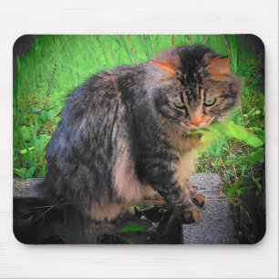 Alfombrilla De Ratón Maine Coon Cat sobre ladrillos