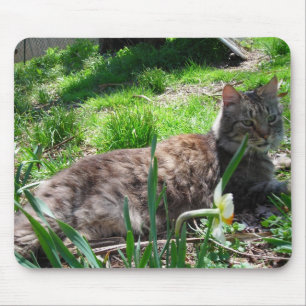 Alfombrilla De Ratón Maine Coon Mouse Pad