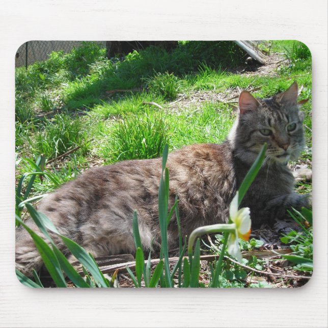 Alfombrilla De Ratón Maine Coon Mouse Pad (Frente)