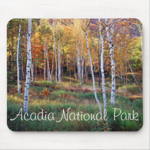 Alfombrilla De Ratón Maine, Parque Nacional Acadia, Otoño