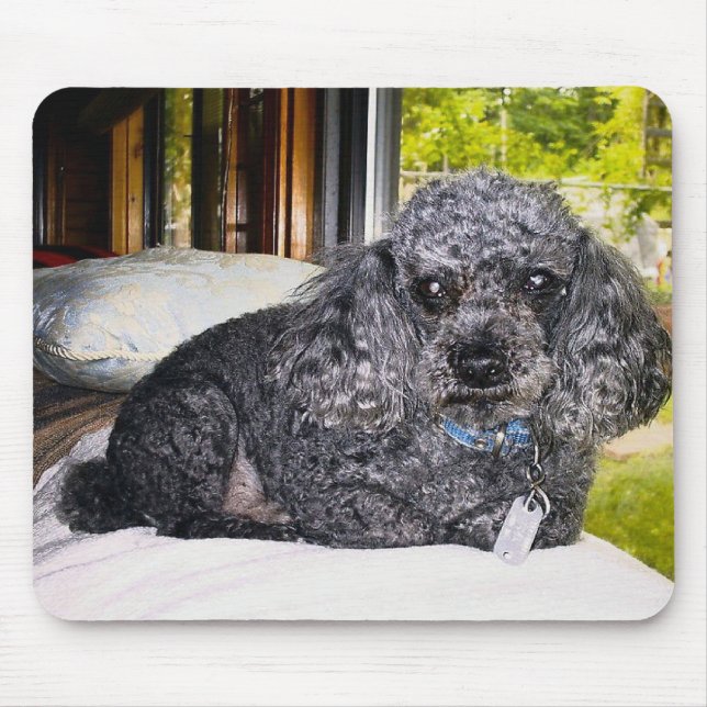Alfombrilla De Ratón Maitai el caniche, cojín de ratón (Frente)