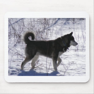 Alfombrilla De Ratón Malamute de Alaska