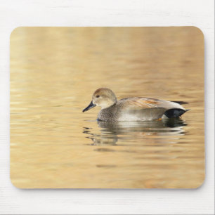 Alfombrilla De Ratón Malé Gadwall