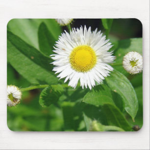 Alfombrilla De Ratón Maleza de Flor Blanca
