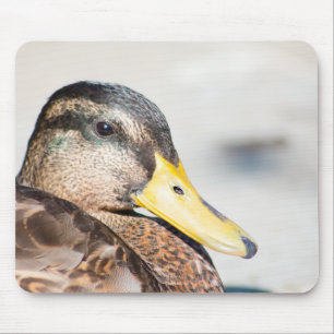 Alfombrilla De Ratón Mallard